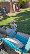 BOOMER - Photo 7