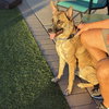 WALKER - Photo 3