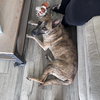 WALKER - Photo 5