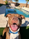MILLIE - Photo 3