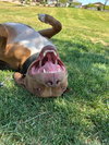 MILLIE - Photo 7