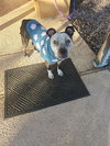 BONNIE #4 - Photo 3
