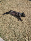 PARKER - Photo 7
