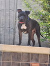 PARKER - Photo 2