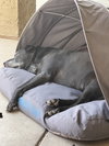 THOR #8 - Photo 4