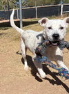 ATTICUS - Photo 7