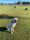 ATTICUS - Photo 4