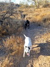 MOCHI - Photo 5