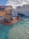 LUCKY - Photo 5