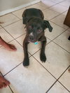 LUCKY - Photo 7