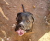 LUCKY - Photo 6
