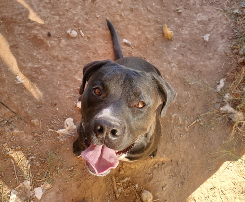 LUCKY photo 6
