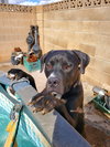 LUCKY - Photo 2