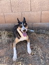 BUDDY - Photo 7