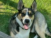 BUDDY - Photo 1