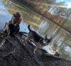 BUDDY - Photo 3