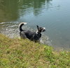 BUDDY - Photo 6