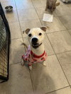 LOLA - Photo 3