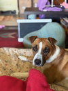 PEEP - Photo 2