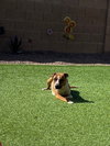 PEEP - Photo 3
