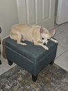 NONA - Photo 3