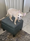 NONA - Photo 4