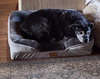 ERNIE - Photo 4