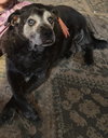 ERNIE - Photo 5