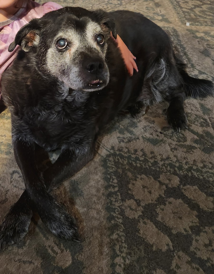 ERNIE