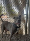 STITCH #3 - Photo 6