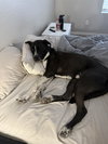 CLUTCH - Photo 3