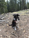 CLUTCH - Photo 4