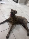 ODIN #8 - Photo 1