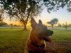 CLETUS - Photo 6