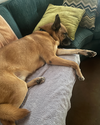 CLETUS - Photo 8