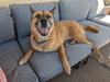 CLETUS - Photo 2