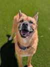 CLETUS - Photo 1