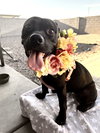 CHIQUITA #2 - Photo 1