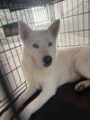 LUNA #14 - Photo 9