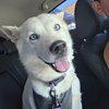 LUNA #14 - Photo 5