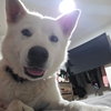LUNA #14 - Photo 6