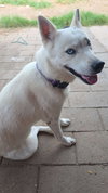 LUNA #14 - Photo 7