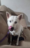 LUNA #14 - Photo 8