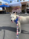 LUNA #14 - Photo 3