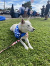 LUNA #14 - Photo 4