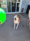 LOKI #11 - Photo 7
