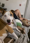 LOKI #11 - Photo 2