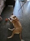 LOKI #11 - Photo 3