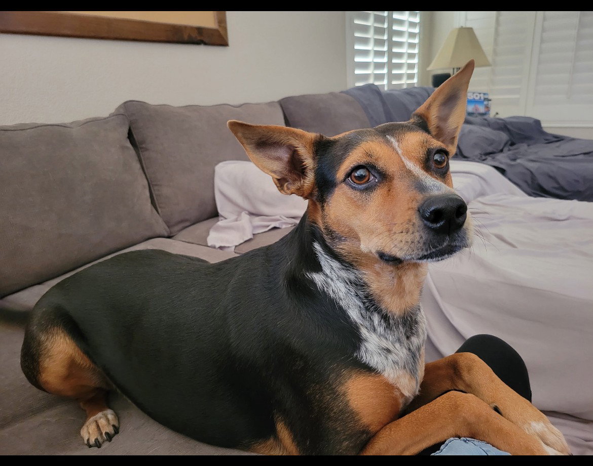 ELLIE AND BRIAR Image