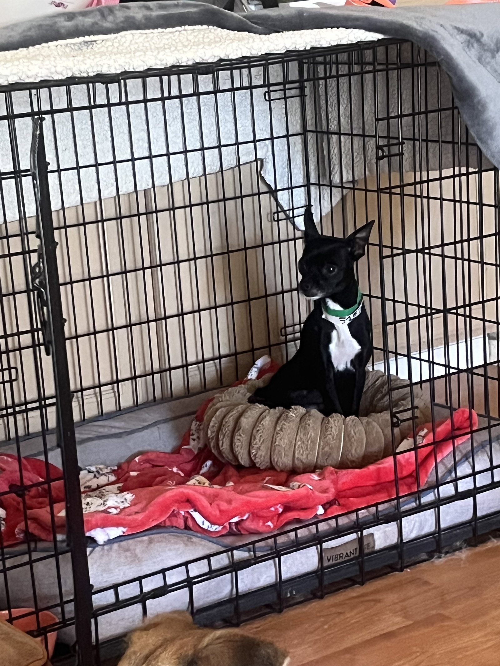 BINKY Image